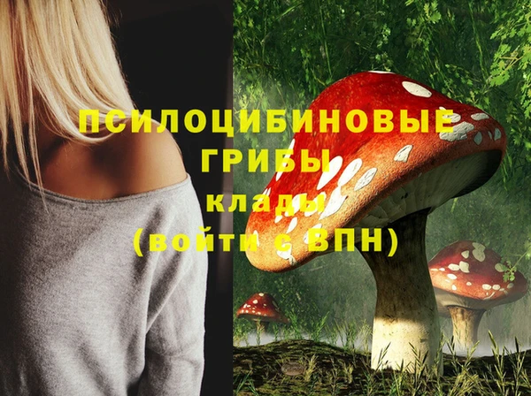 мет Россошь